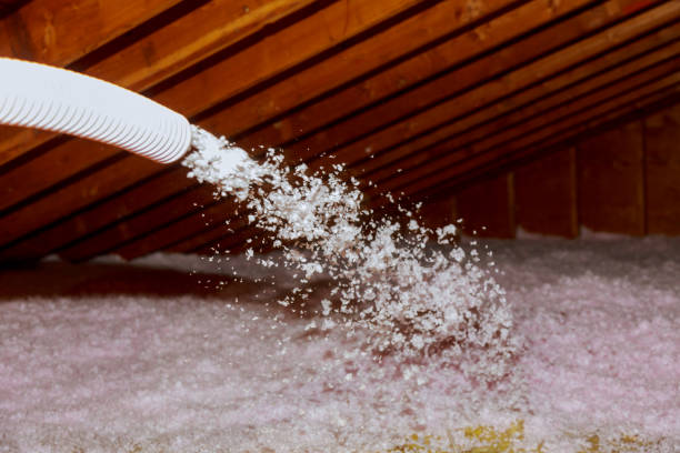 Best Fiberglass Insulation in Walnut Hill, TN