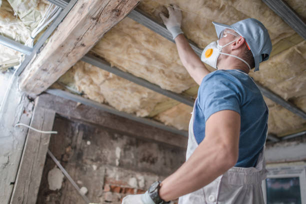 Best Commercial Insulation in Walnut Hill, TN