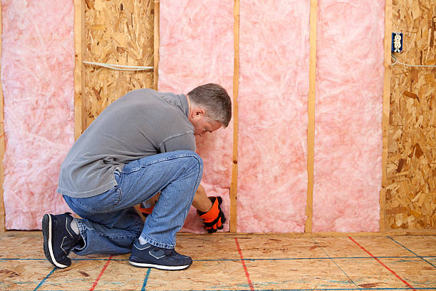 Best Cellulose Insulation in Walnut Hill, TN